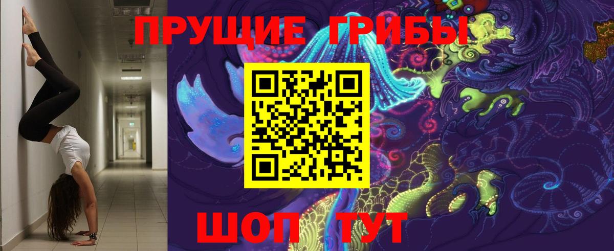 Псилоцибиновые грибы мицелий Унеча
