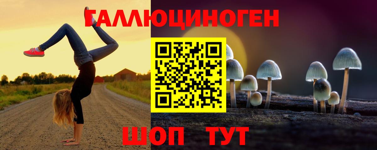 Псилоцибиновые грибы мицелий  Вход с VPN  Унеча 
